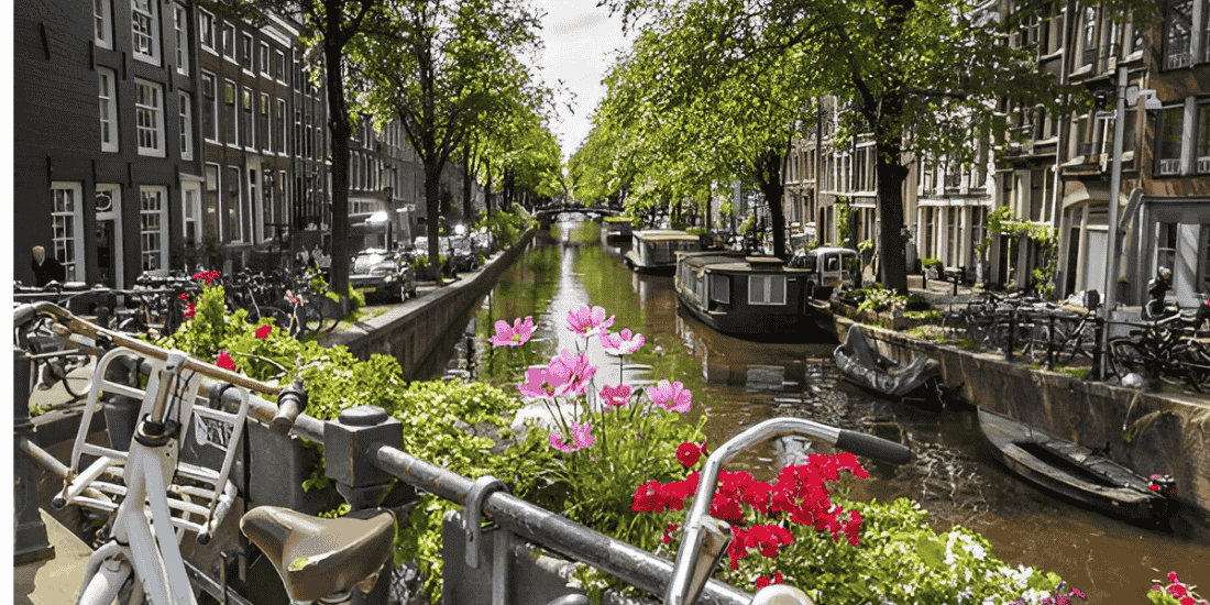 Study In Amsterdam