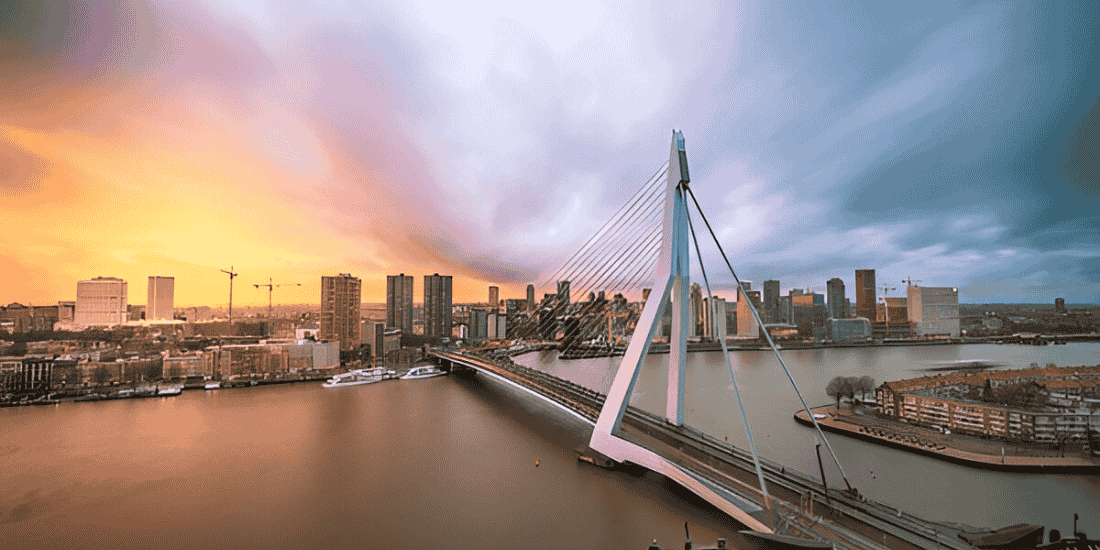 Study In Rotterdam