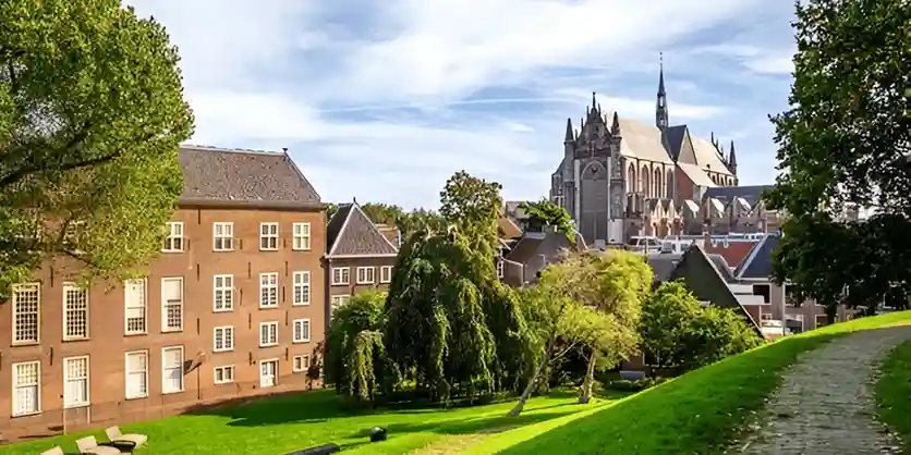 Study in The Hague: The Ultimate Guide to Scholarship, Live, Learn & Grow